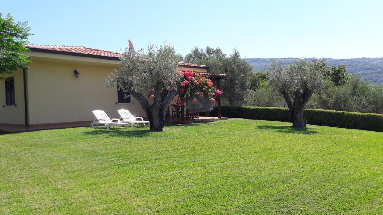 Villa Mimosa Tropea Ricadi Extérieur photo