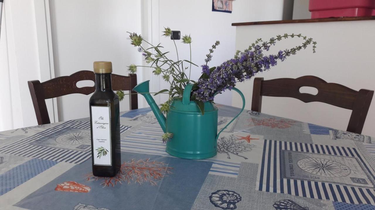 Villa Mimosa Tropea Ricadi Extérieur photo