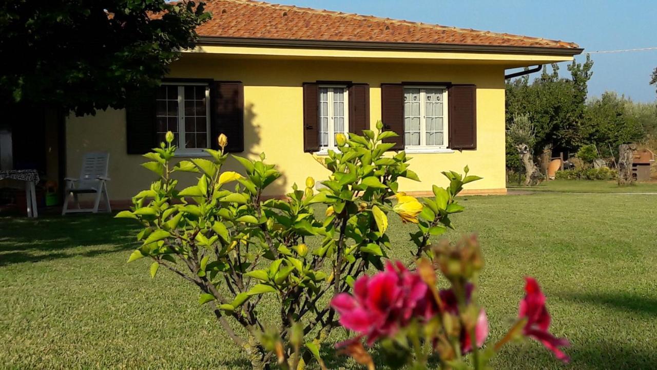 Villa Mimosa Tropea Ricadi Extérieur photo