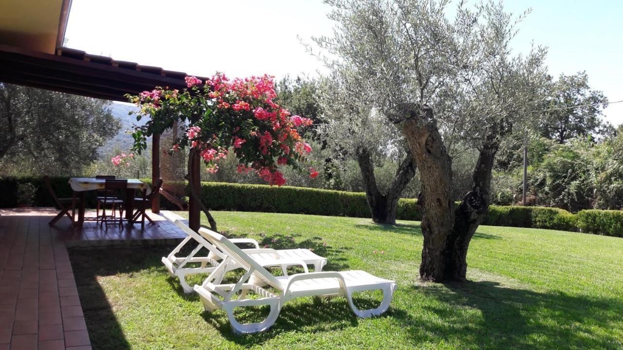 Villa Mimosa Tropea Ricadi Extérieur photo