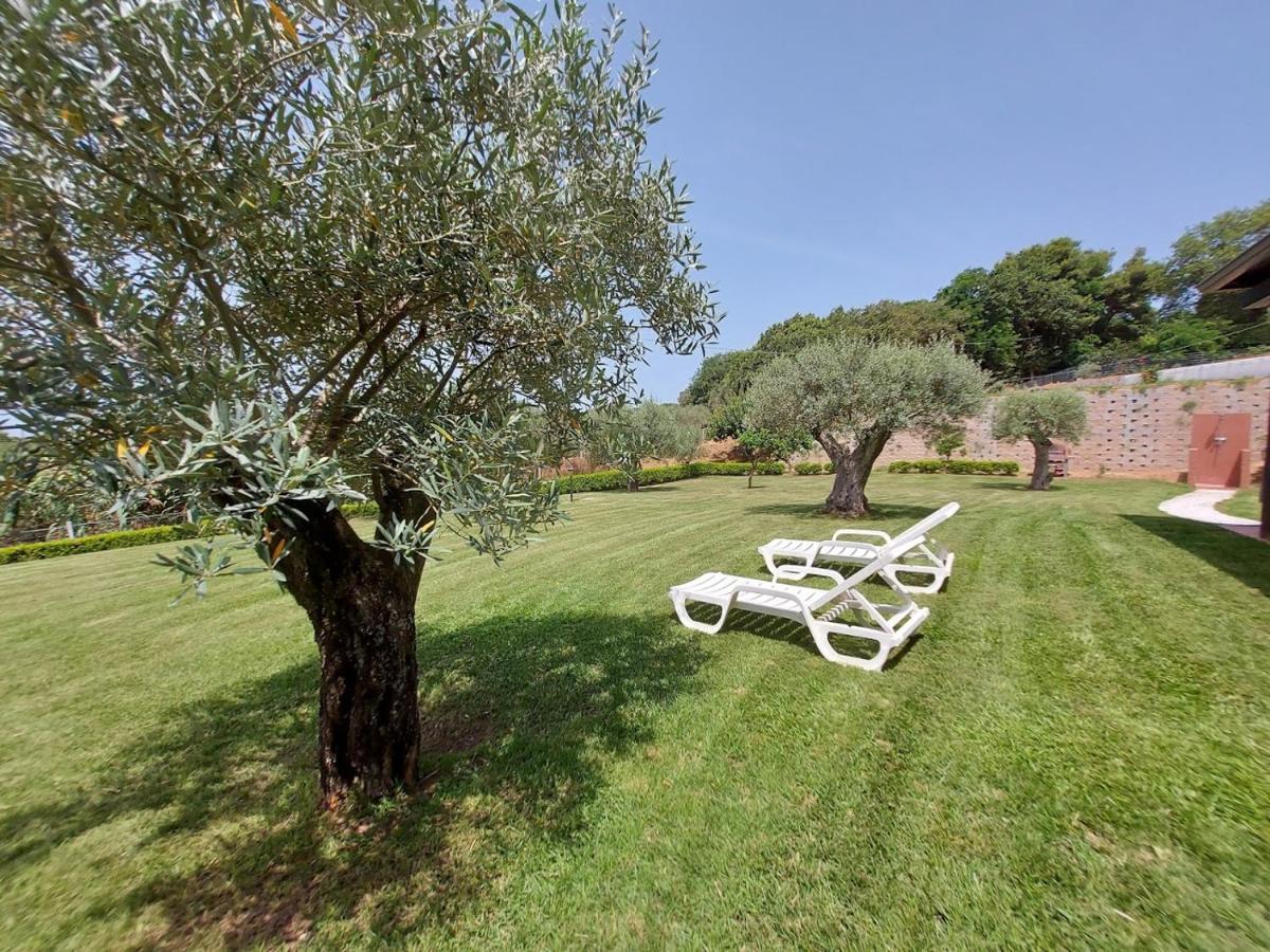 Villa Mimosa Tropea Ricadi Extérieur photo