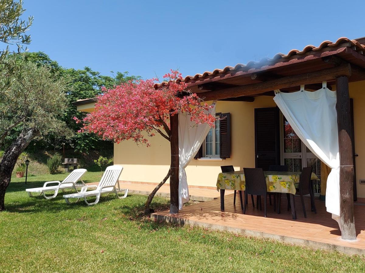 Villa Mimosa Tropea Ricadi Extérieur photo