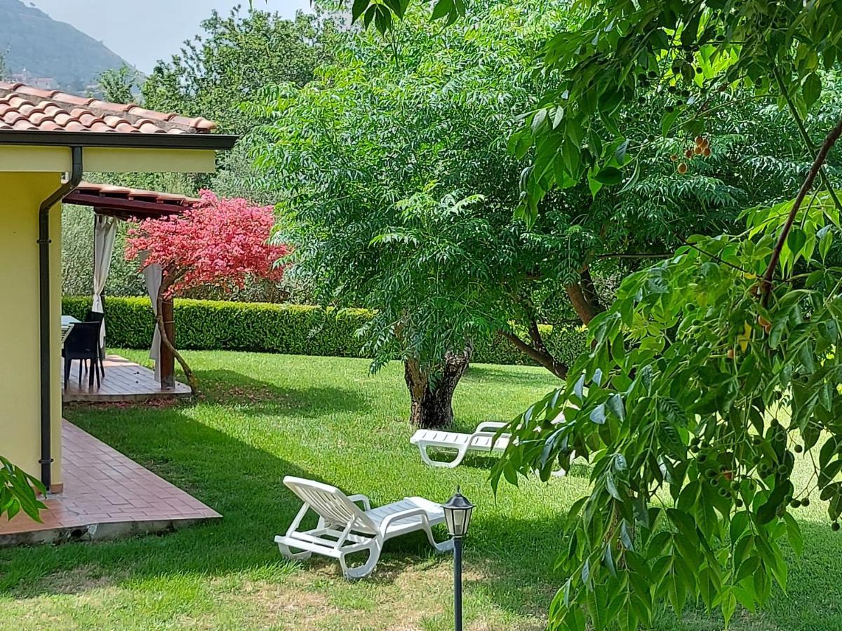 Villa Mimosa Tropea Ricadi Extérieur photo