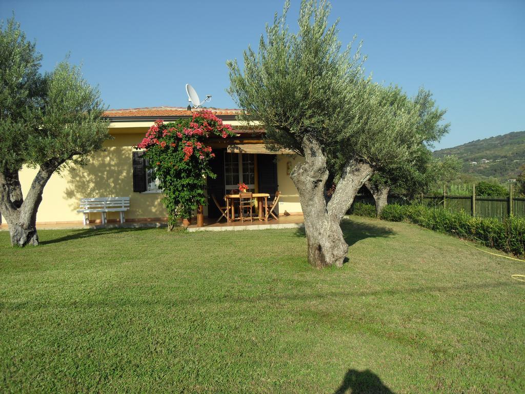 Villa Mimosa Tropea Ricadi Extérieur photo