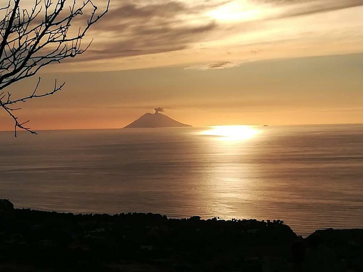 Villa Mimosa Tropea Ricadi Extérieur photo